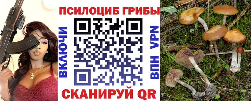 Галлюциногенные грибы Psilocybe  Володарск 